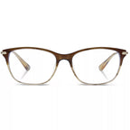 Brown Titanium Glasses (Frames)