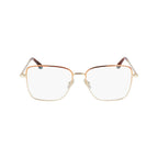 Brown Metal Glasses (Frames)