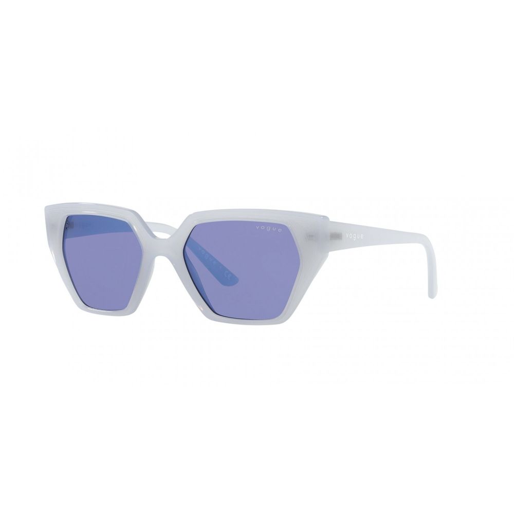 Gray Resin Sunglasses