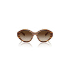 Brown Resin Sunglasses