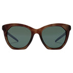 Brown Nylon Sunglasses