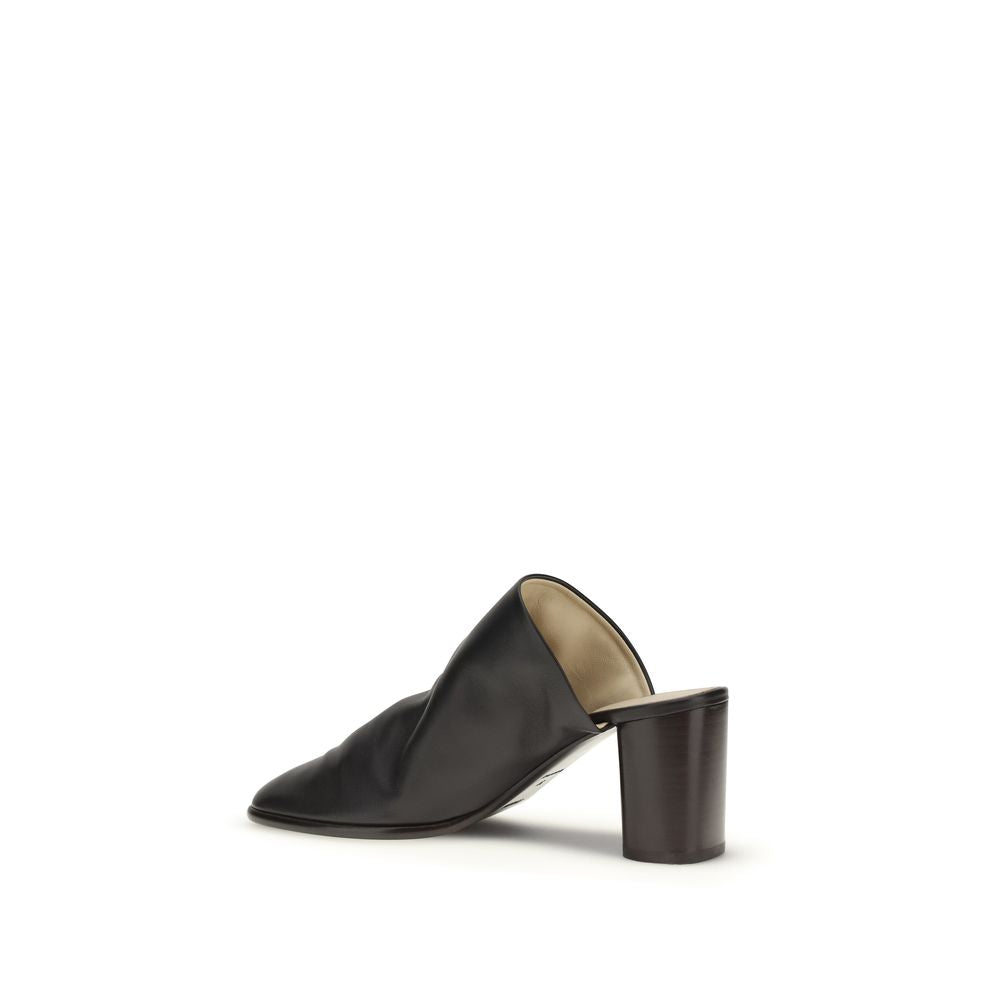 Black Lamb Ovis Aries Aries Mules