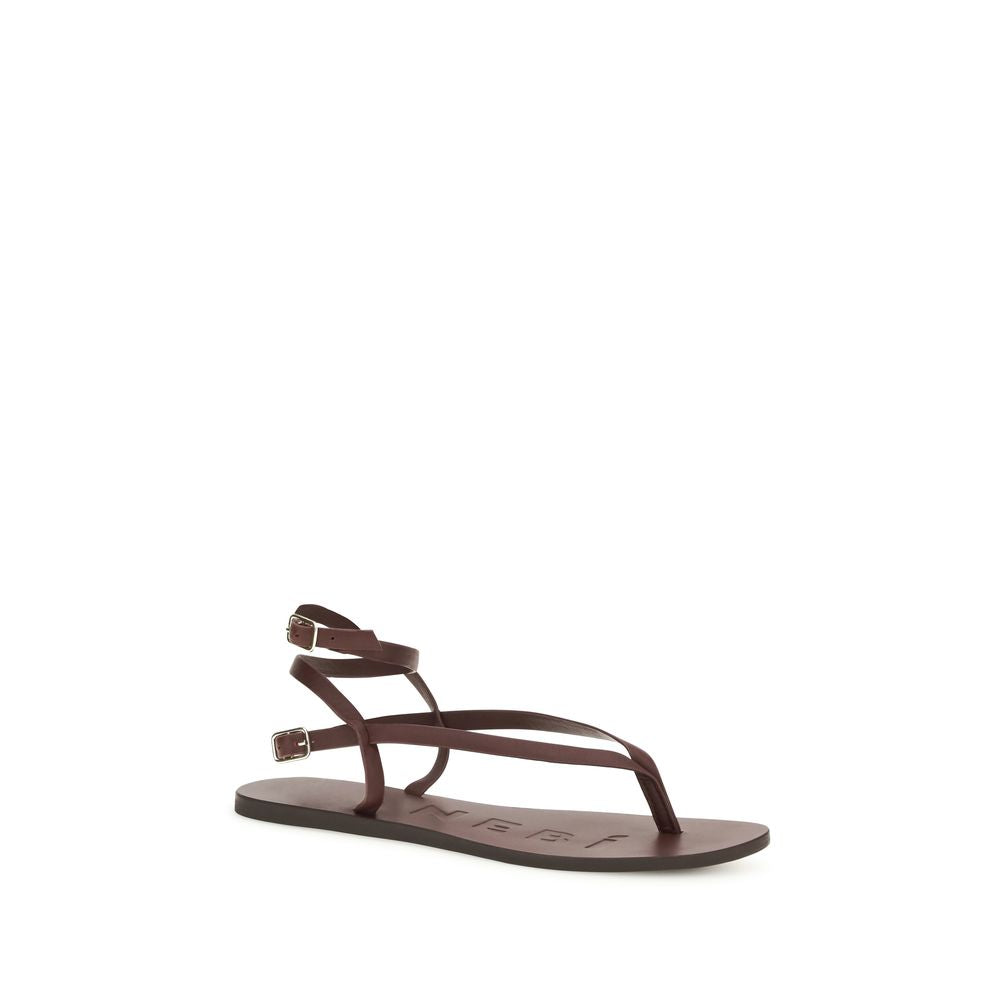 Brown Calf Leather Bos Taurus Flat Sandals