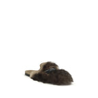 Gray Lamb Ovis Aries Aries Mules