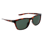 Brown Injected Sunglasses