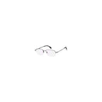Gray Titanium Glasses (Frames)