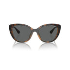 Brown Injected Sunglasses