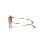 Brown Injected Sunglasses