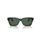 Brown Injected Sunglasses