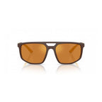 Brown Injected Sunglasses