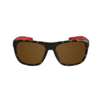 Brown Injected Sunglasses