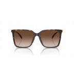 Brown Acetate Sunglasses