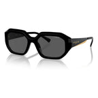 Black Acetate Sunglasses