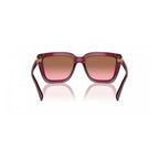 Multicolor Injected Sunglasses