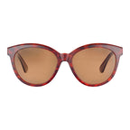 Brown Resin Sunglasses