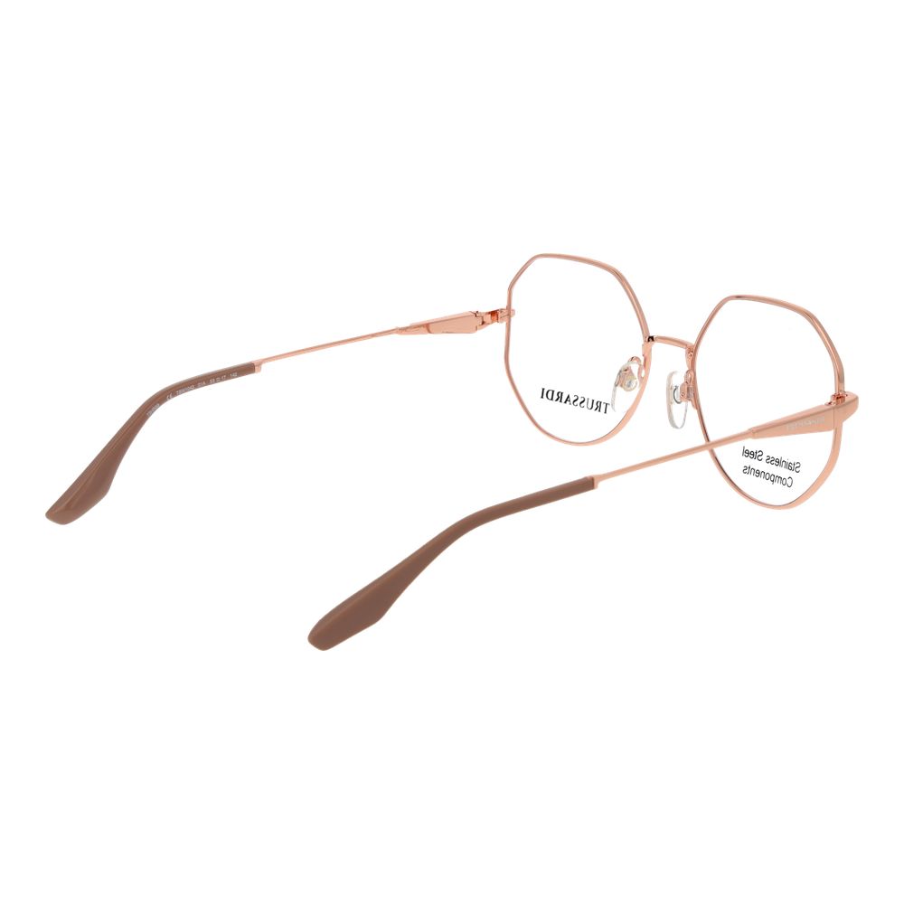 Pink Stainless Steel Glasses (Frames)