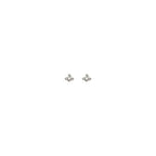 Silver Metal Earrings