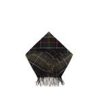 Bicolor Wool Oves Aries Scarf