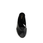 Black Lamb Ovis Aries Mules