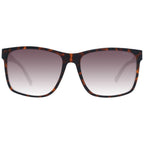 Brown Plastic Sunglasses