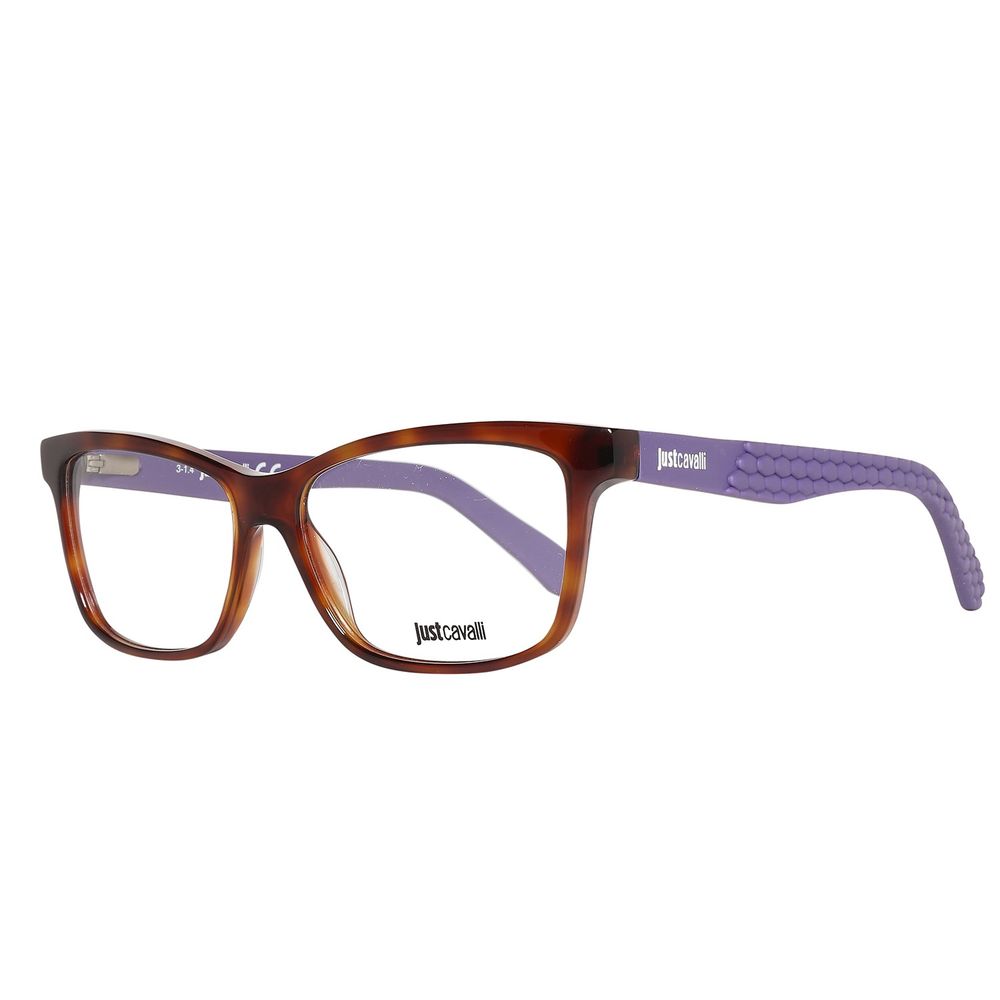 Brown Plastic Glasses (Frames)
