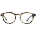 Brown Plastic Glasses (Frames)