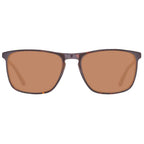 Brown Plastic Sunglasses