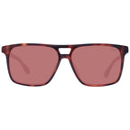 Brown Acetate Sunglasses