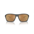 Brown Resin Sunglasses