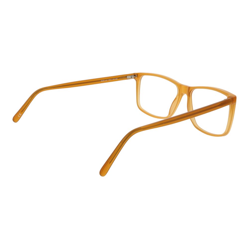 Bicolor Acetate Glasses (Frames)