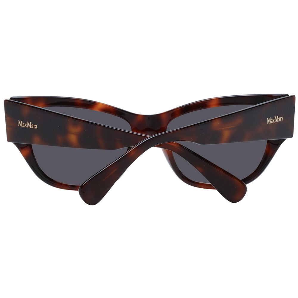 Brown Plastic Sunglasses