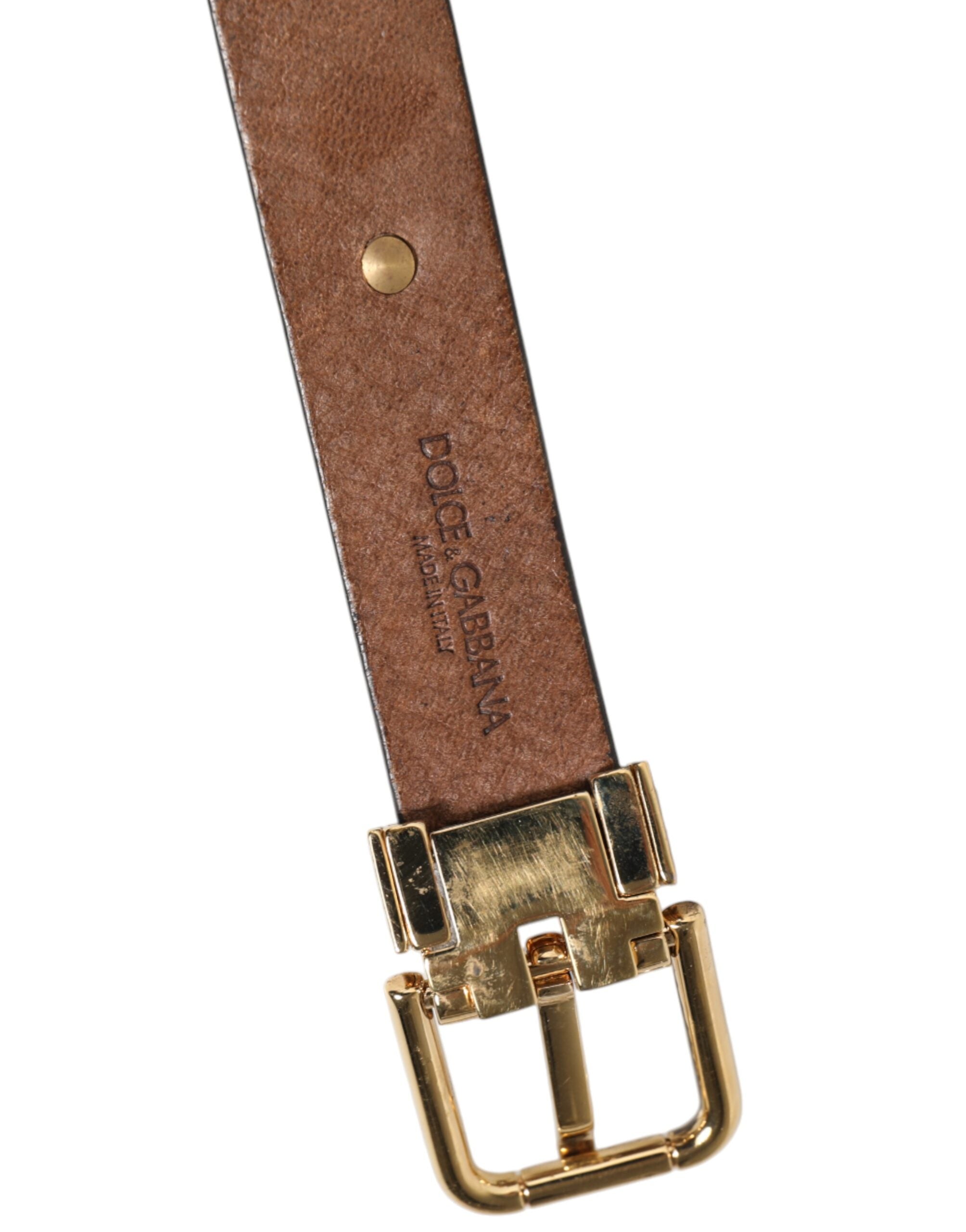 Brown Leather Gold Silver Coin Buckle Belt