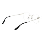 Silver Titanium Glasses (Frames)