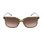 Brown Titanium Sunglasses
