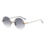 Brown Titanium Sunglasses